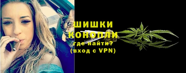 spice Вязьма