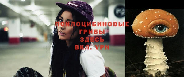 spice Вязьма