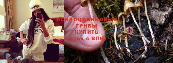 сатива Магас